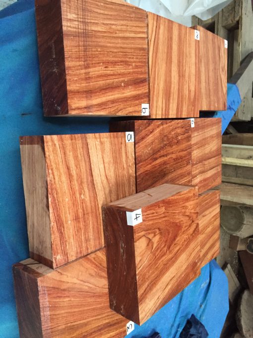 Namibian Rosewood 8x8x3 inches