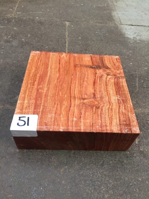 Namibian Rosewood 6x6x2 inches