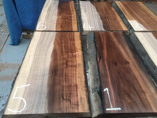 American Walnut Boards/Lumber