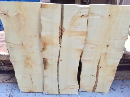 American Hard Maple Waney Edge Lumber / Boards