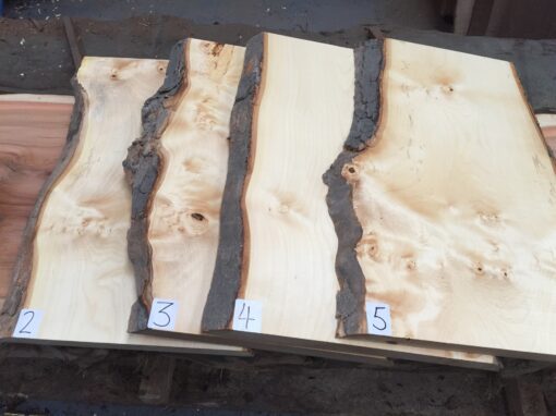 American Hard Maple Waney Edge Lumber / Boards