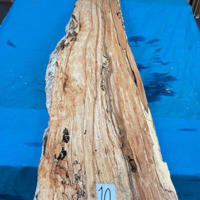 Spalted Beech 1680x280-330x45 mm
