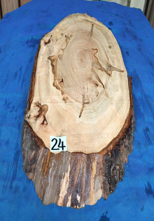 Ambrosia Maple Cookie/Oval 750x240-270x25-30mm