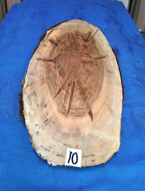 Ambrosia Maple Cookie/Oval 720x220-280x25-30mm