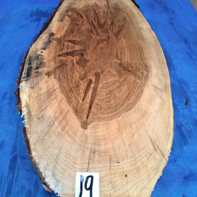 Ambrosia Maple Cookie/Oval 740x240-290x25-30mm