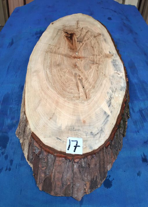 Ambrosia Maple Cookie/Oval 730x220-280x25-30mm