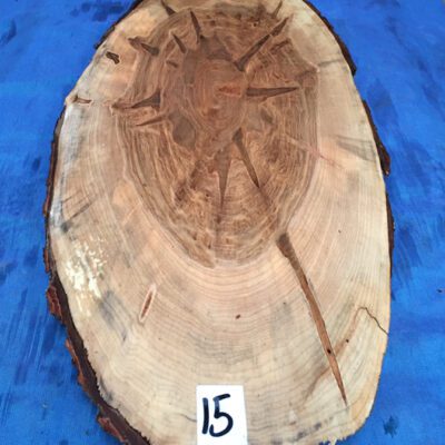 Ambrosia Maple Cookie/Oval 720x220-280x25-30mm