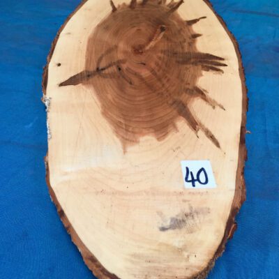 Ambrosia Maple Cookie/Oval 690x230-270x25-30mm