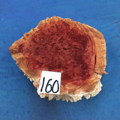 Red Mallee Burl 7.25x6x2.5 Inches