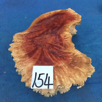 Red Mallee Burl 7x5x2.25 Inches