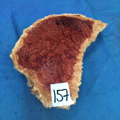 Red Mallee Burl 9x5.5x1.75 Inches