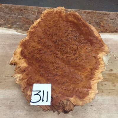 Brown Mallee Burl 11x7x2.75 Inches