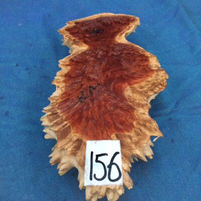 Red Mallee Burl 9x4.5x2.25 Inches
