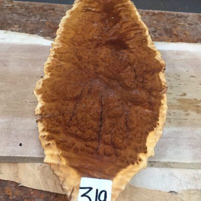 Brown Mallee Burl 17x6x3 Inches