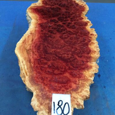 Red Mallee Burl 15x6.75x2.75 Inches