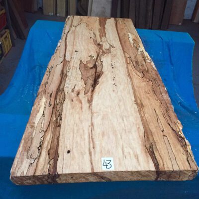 Spalted Beech 1380x500-560x50 mm