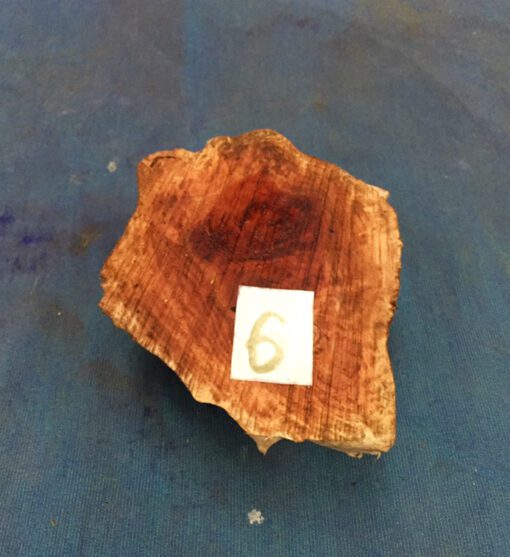 Red Mallee Burl 5.5x4x2 Inches