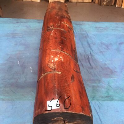 Snakewood 990x180-200 mm