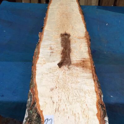 Curly Masur Birch (AAA Grade) 1205x230-250x54 mm