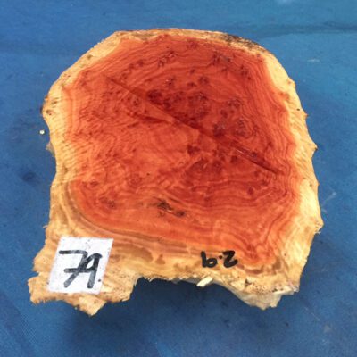 Red Mallee Burl 11x8x2.5 Inches