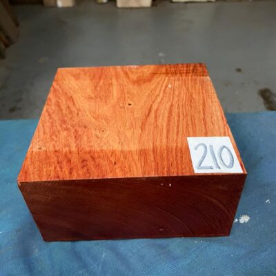 Namibian Rosewood 6x6x3 inches