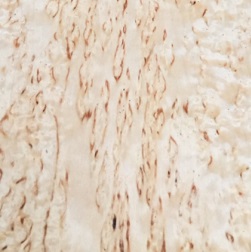 CURLY MASUR BIRCH LUMBER