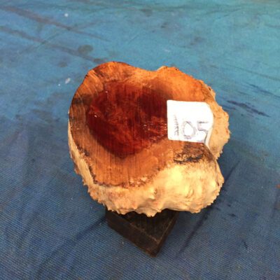 Red Mallee Burl 4.25x3.75x2.25 Inches