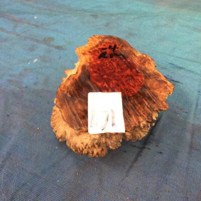 Red Mallee Burl 4x3.5x2 Inches
