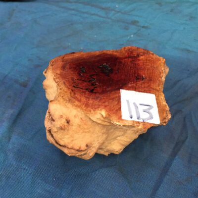 Red Mallee Burl 5x4.5x3.25 Inches