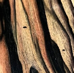 PALE MOON EBONY TURNING BLANKS