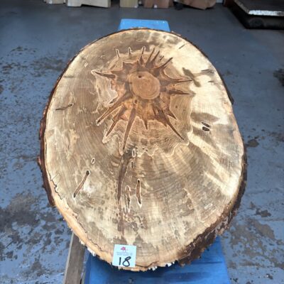 Ambrosia Maple Cookie / Oval 940x370-430x50 mm