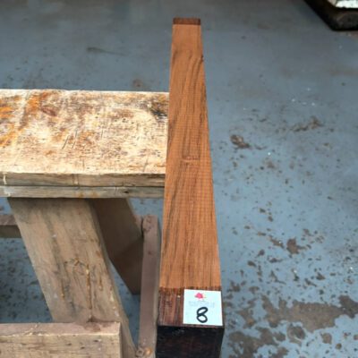 Indian Laurel 2x2x24 inches