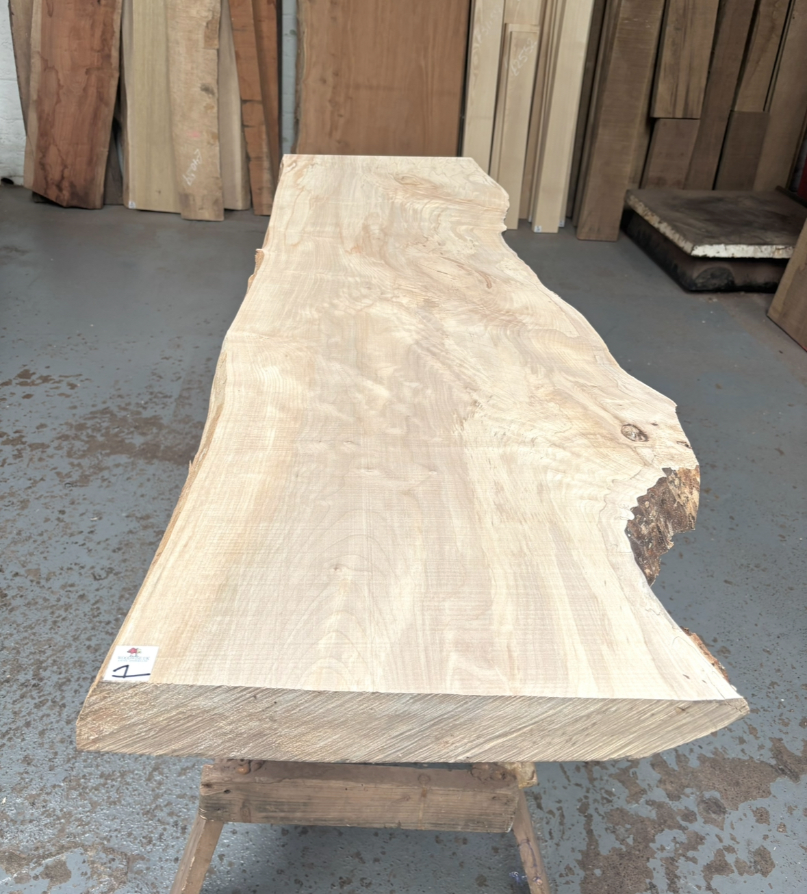 Sycamore 1410x390-490x65-75 mm