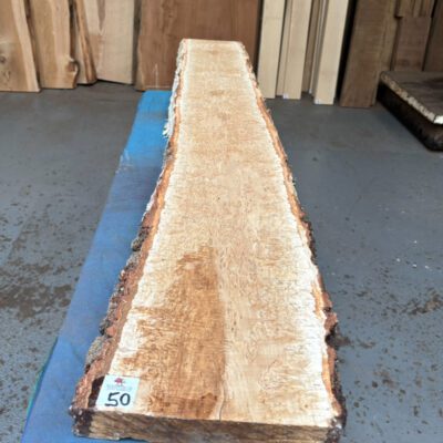 Curly Masur Birch (AAA Grade) 1180x180-220x33 mm