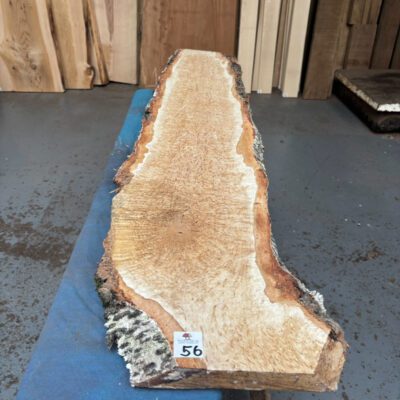 Curly Masur Birch (AAA Grade) 1190x220-260x34 mm