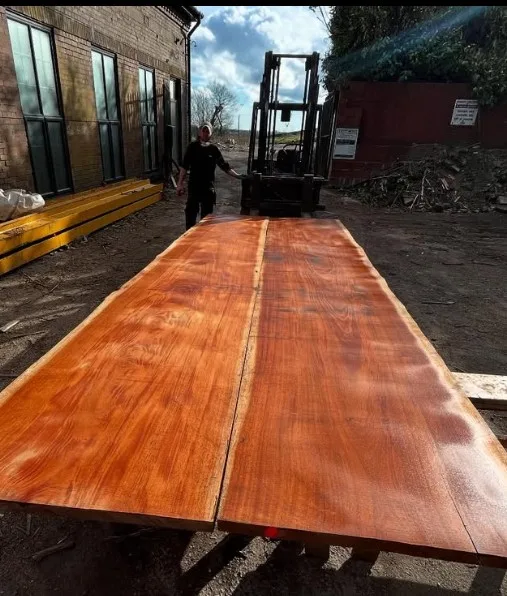 African Mahogany