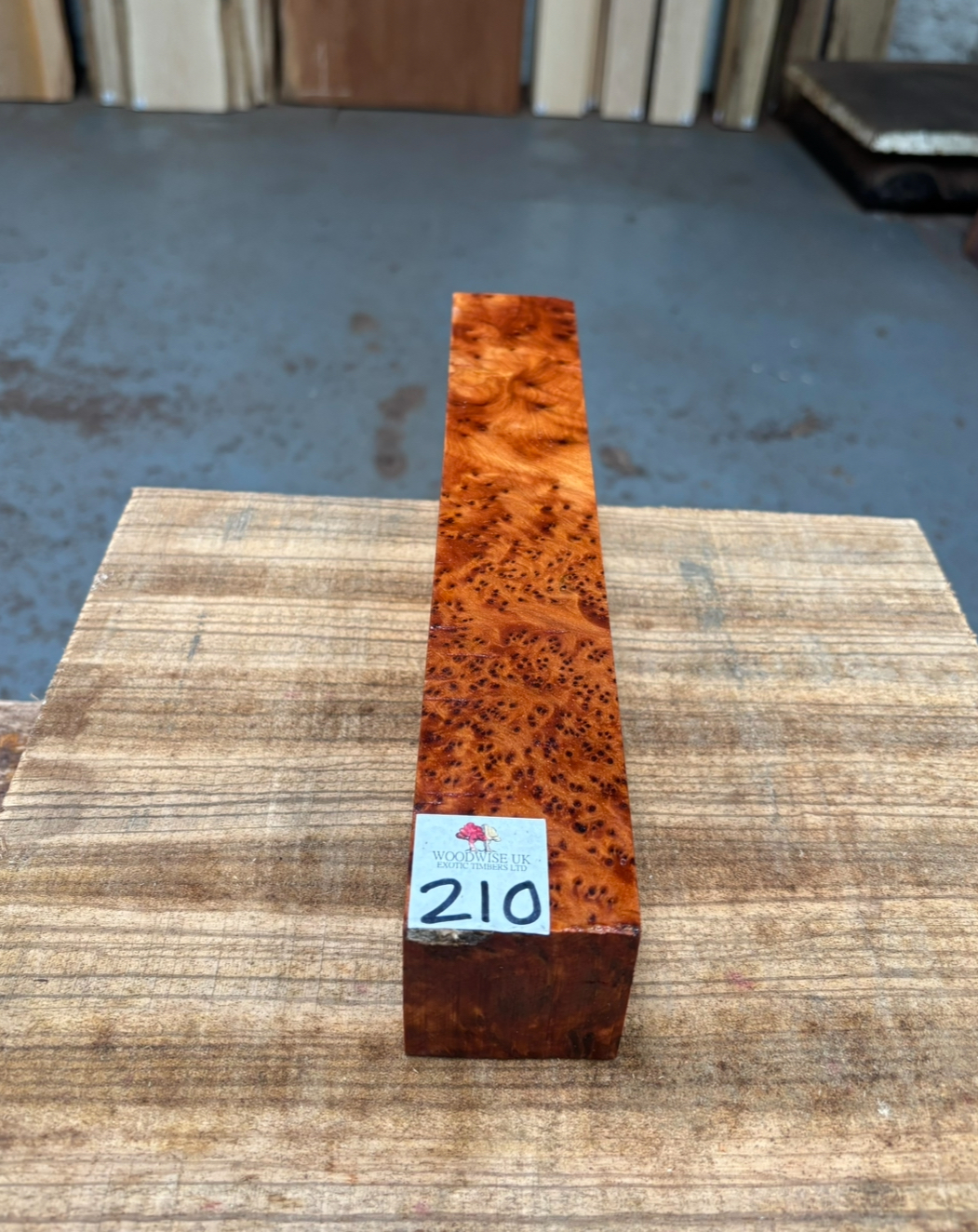 Thuya Burr 2x2x12 Inches