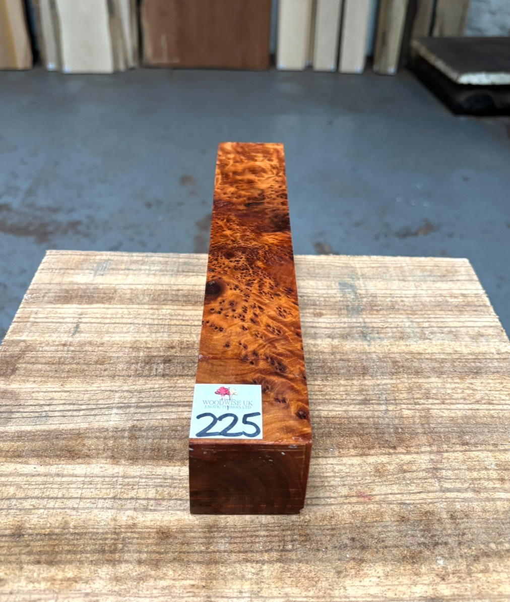 Thuya Burr 2x2x12 Inches