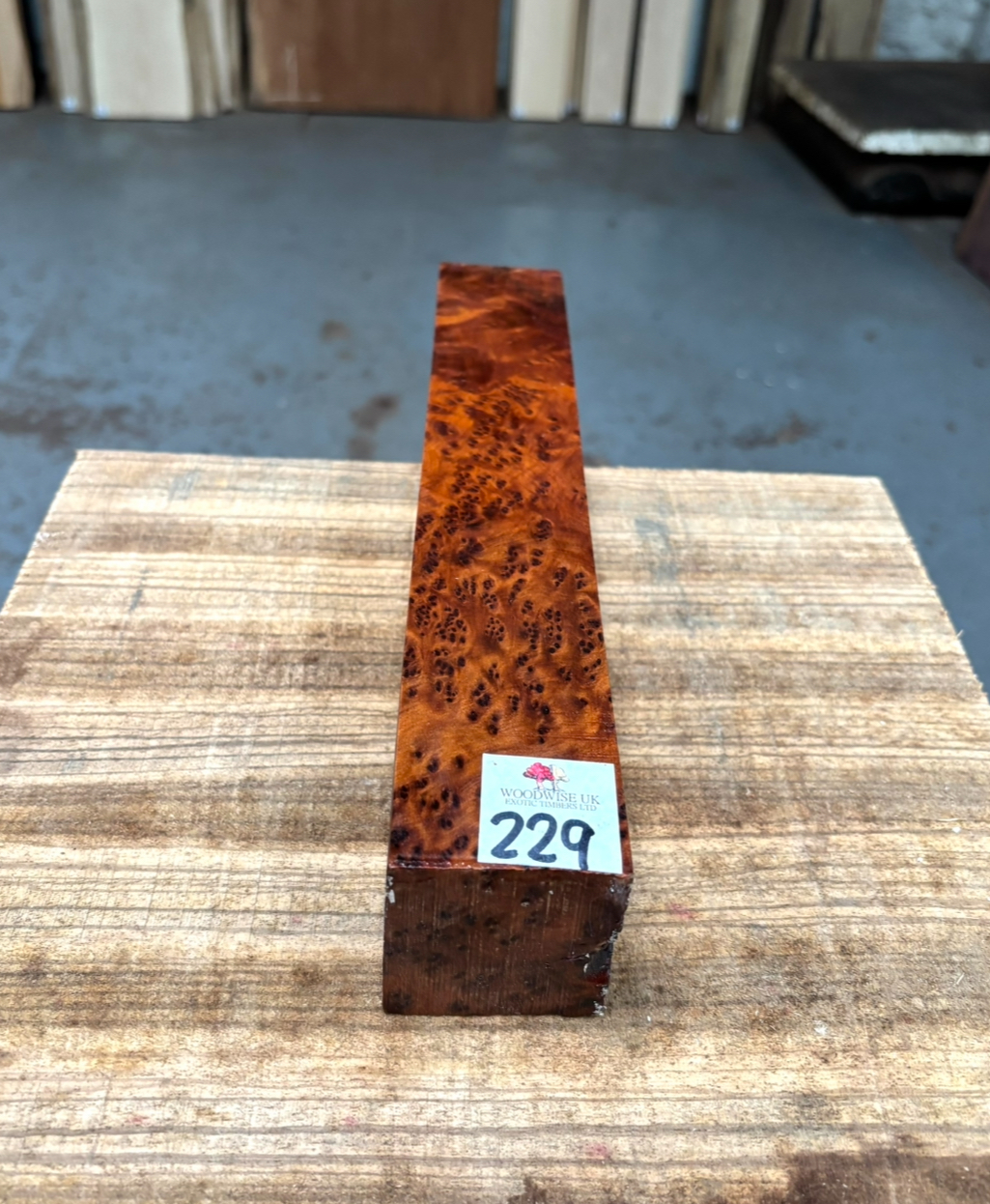 Thuya Burr 2x2x12 Inches