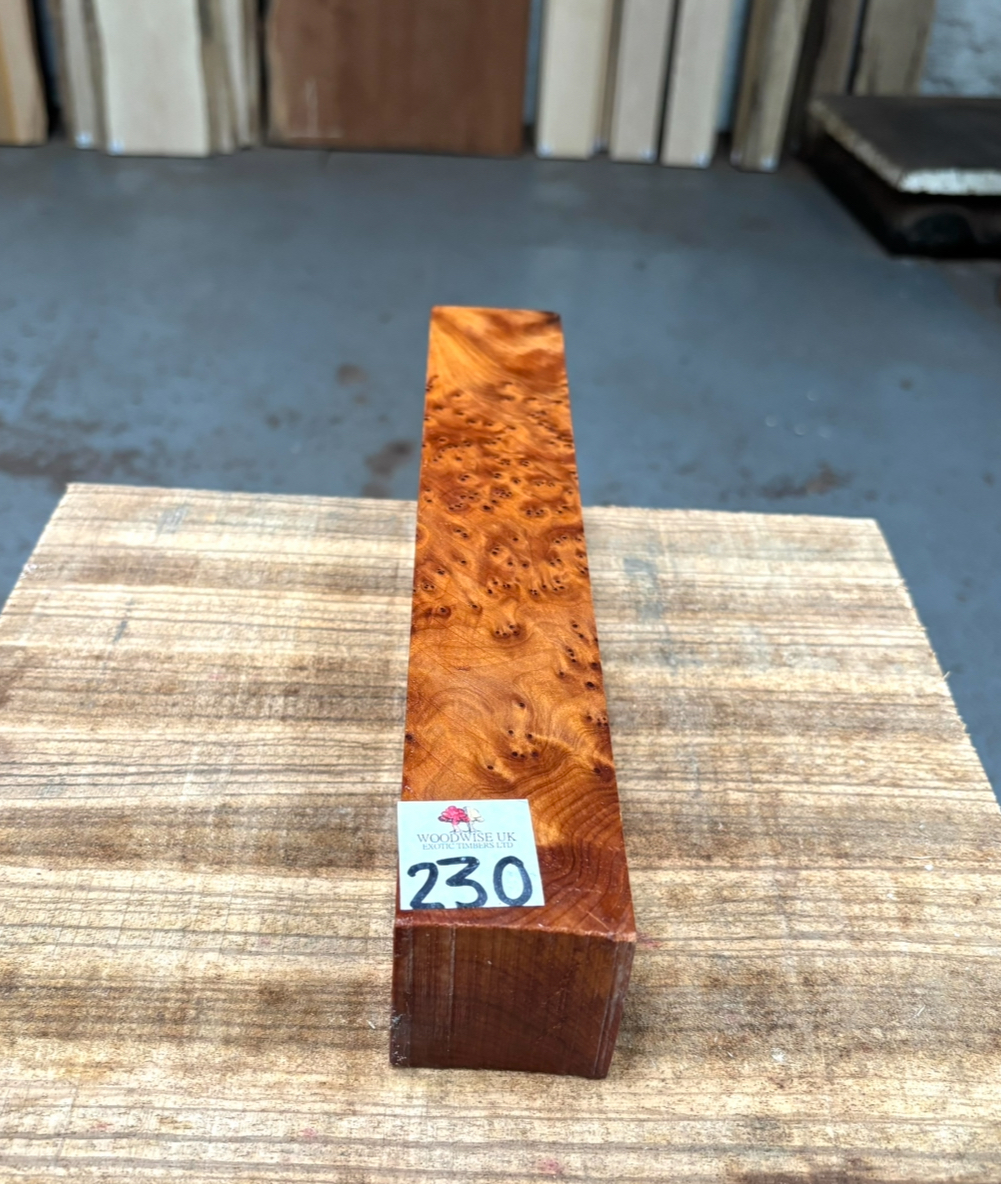 Thuya Burr 2x2x12 Inches