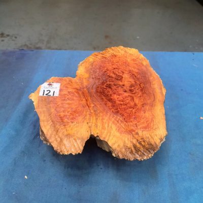 Red Mallee Burl 9.5x8.25x3 Inches