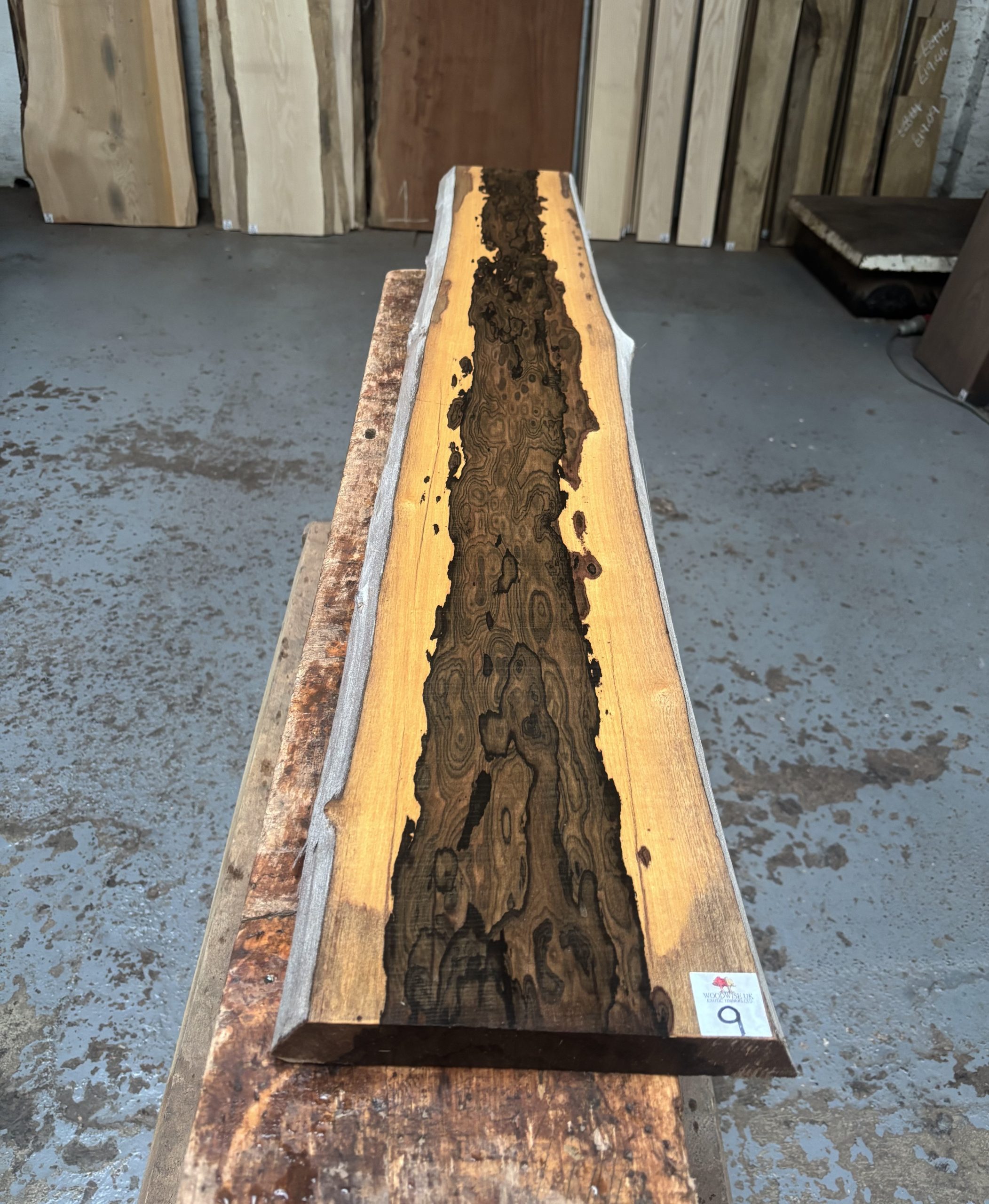 Ziricote 1455x210x27 mm`