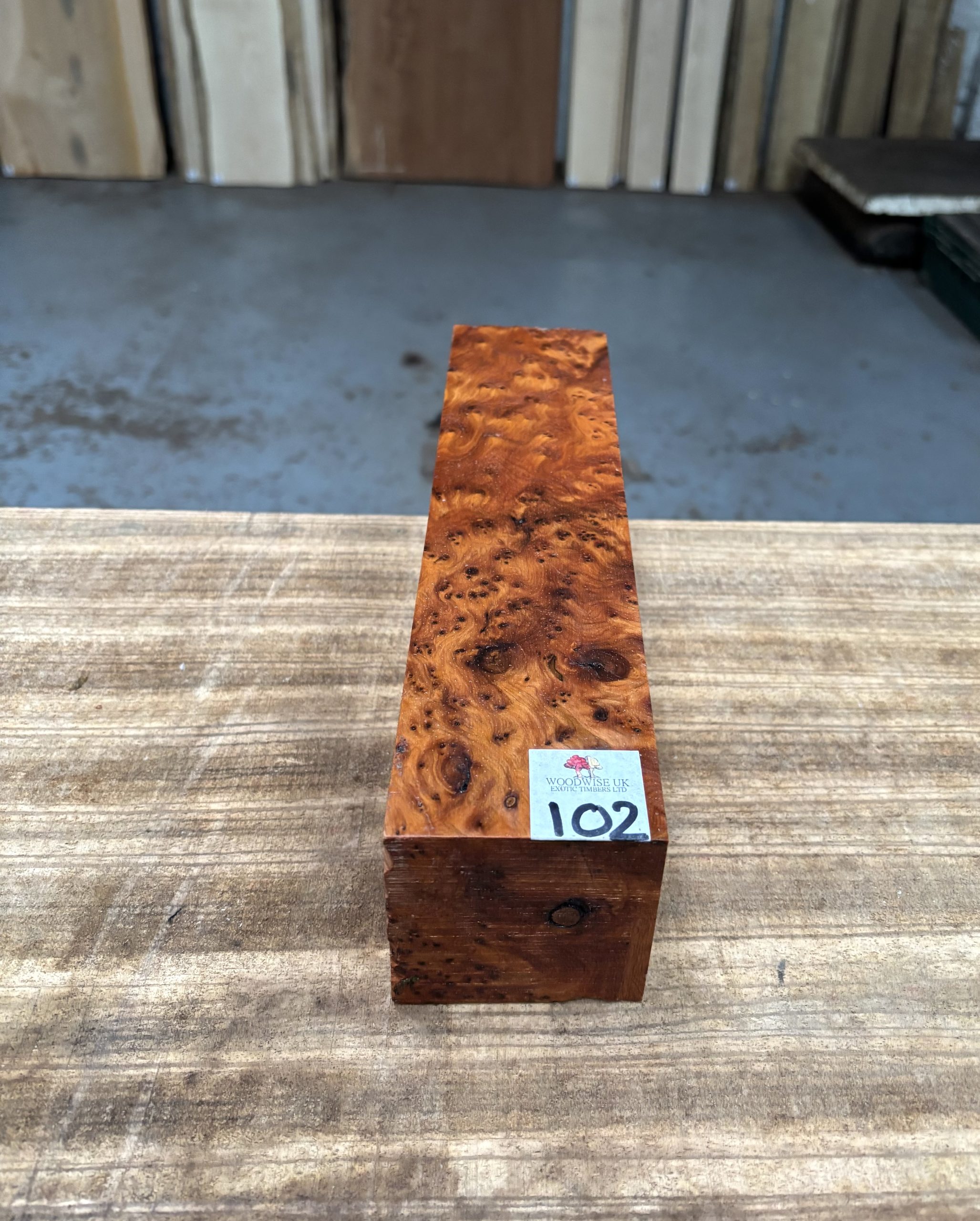 Thuya Burr 3x3x12 Inches
