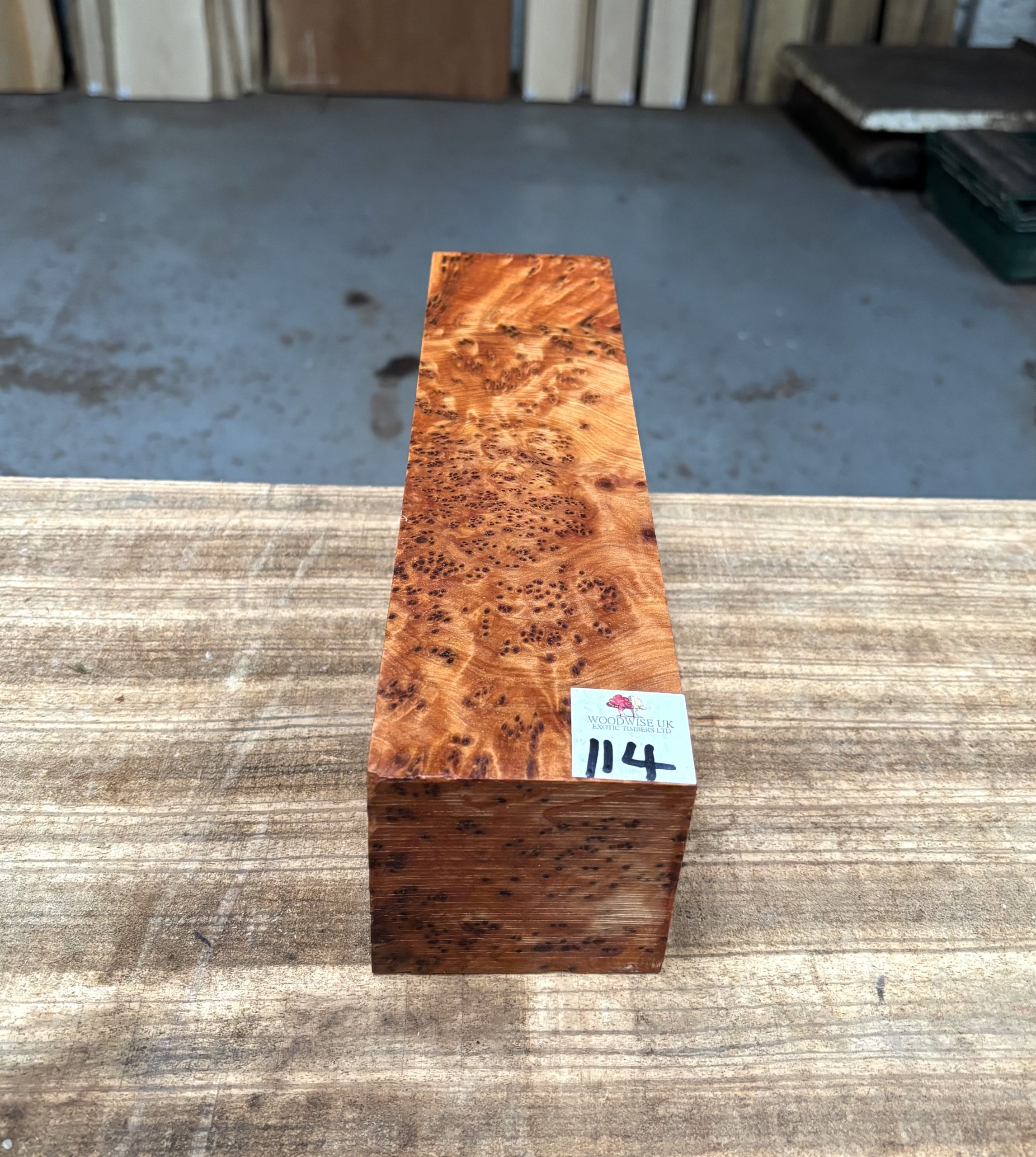 Thuya Burr 3x3x12 Inches