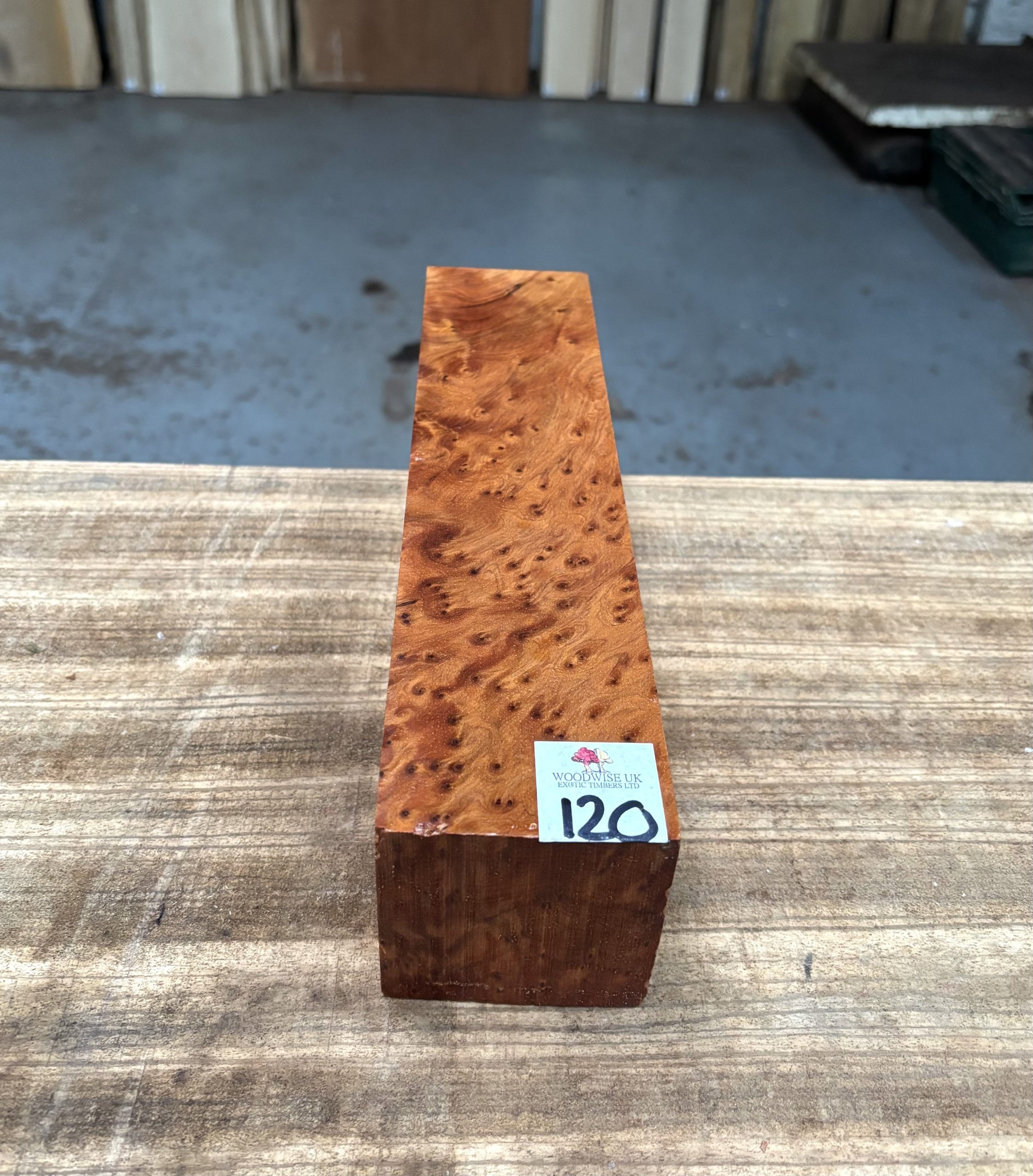 Thuya Burr 3x3x12 Inches