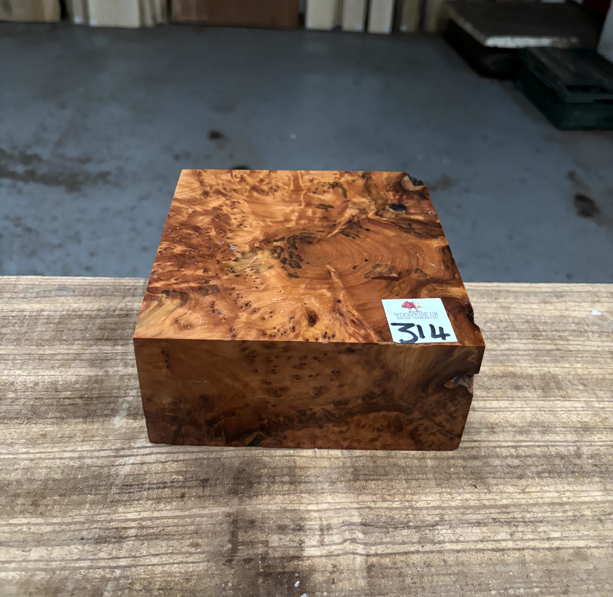 Thuya Burr 6x6x3 Inches
