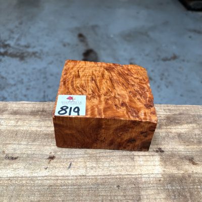 Thuya Burr 100x100x45-50 mm