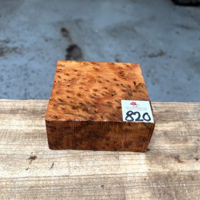 Thuya Burr 100x100x45-50 mm