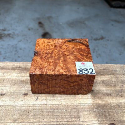 Thuya Burr 100x100x45-50 mm