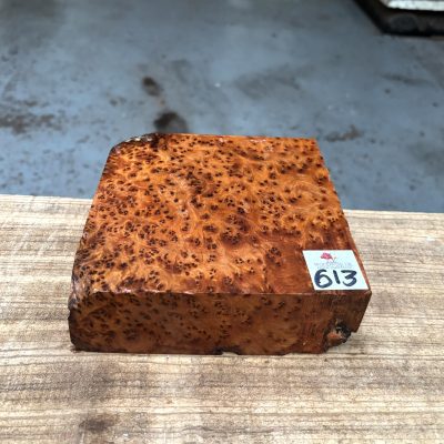 Thuya Burr 6x6x2 Inches
